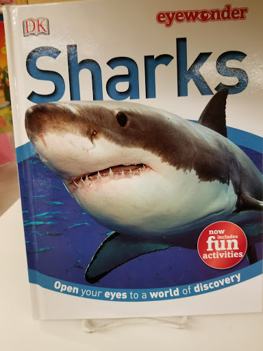 Toy Store «The Toy Factory», reviews and photos, 442 SW 2nd St, Corvallis, OR 97333, USA