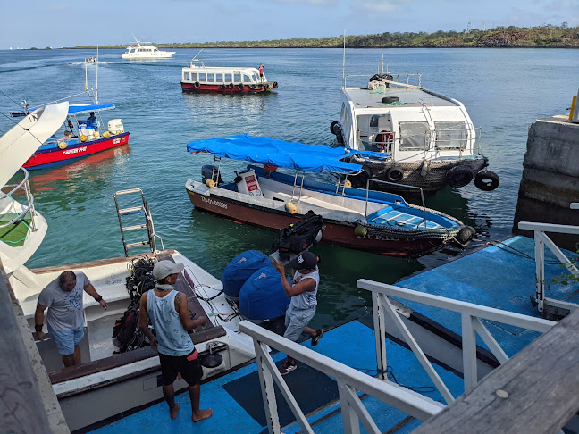 Macarron Scuba Diver Agency