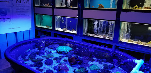 Tropical Fish Store «Fintastic Aquariums», reviews and photos, 3305 NW Main Ave, Jensen Beach, FL 34957, USA