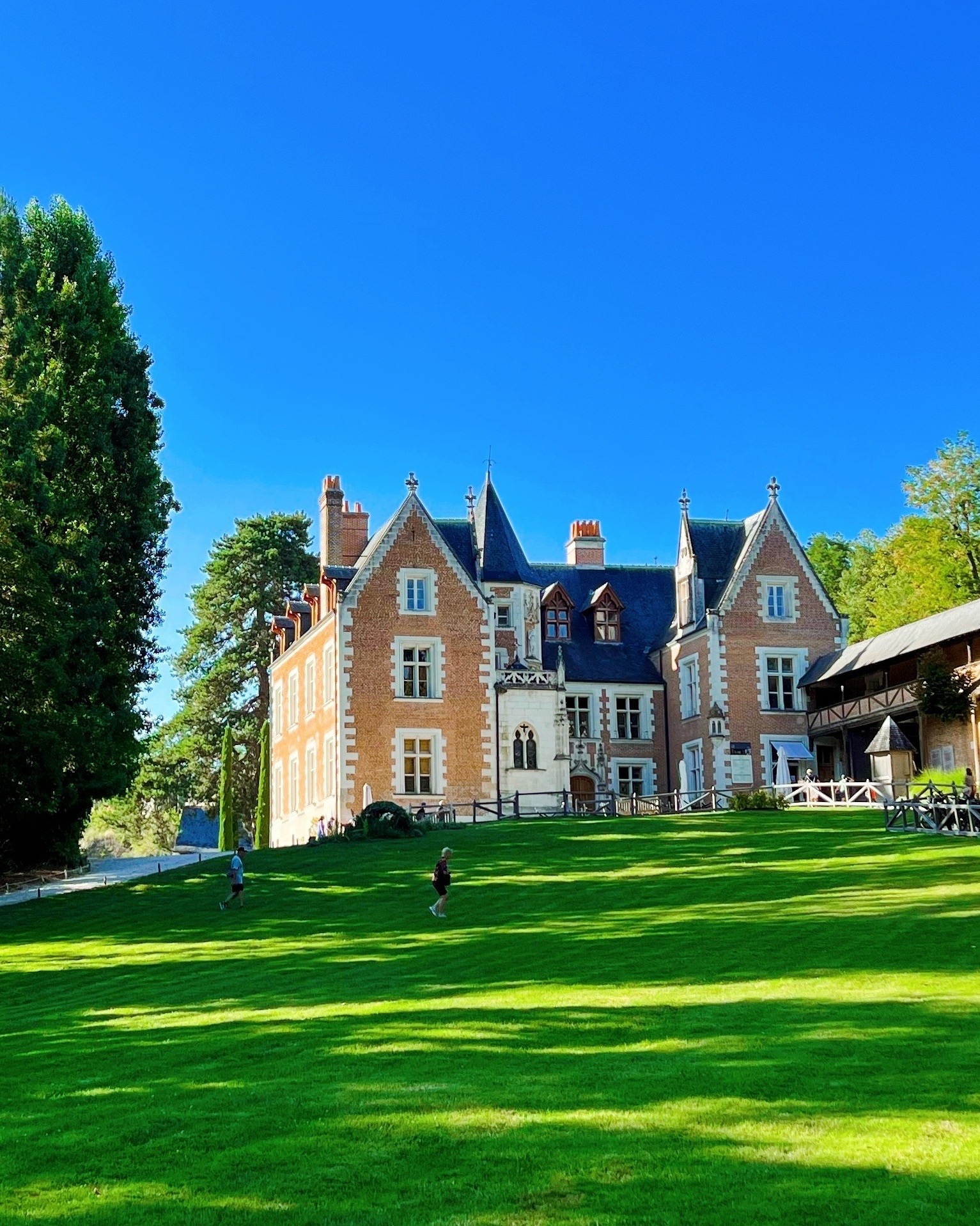 Photo n° 2 de l'avis de BOYER.� fait le 06/09/2023 à 12:39