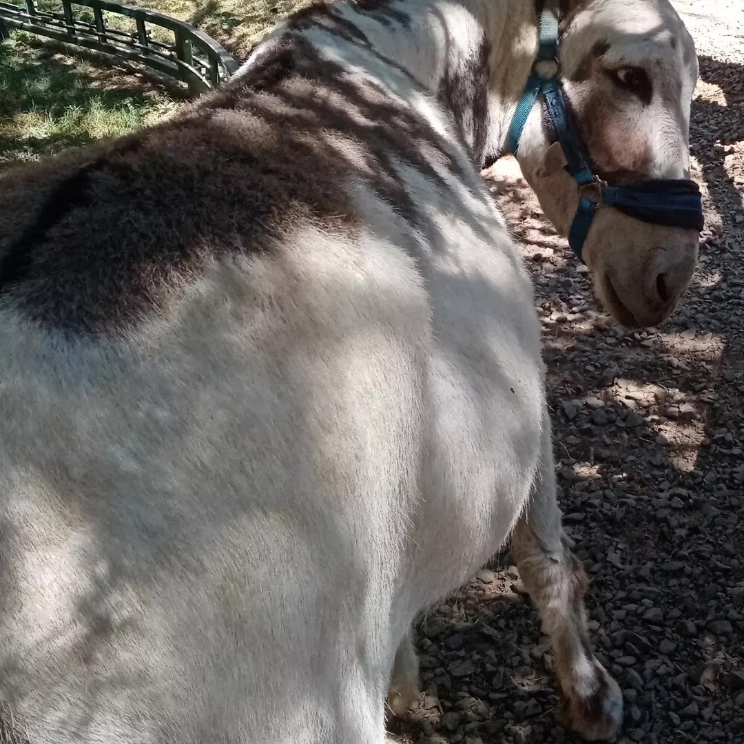 Photo n° 5 de l'avis de angelique.e fait le 07/08/2022 à 21:15