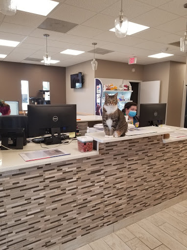 Two Notch Road Animal Clinic image