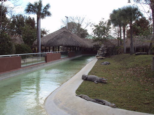 Tourist Attraction «Miccosukee Indian Village», reviews and photos, 500 US-41, Miami, FL 33194, USA