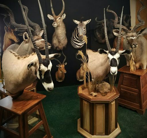 Taxidermist «HighPoint Taxidermy And Outfutters», reviews and photos, 14860 OH-13, Thornville, OH 43076, USA