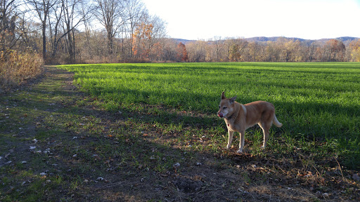 Park «Nyquist-Harcourt Wildlife Sanctuary», reviews and photos, 133 Huguenot St, New Paltz, NY 12561, USA