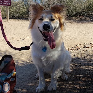 Iron Mountain Trailhead - photo 33