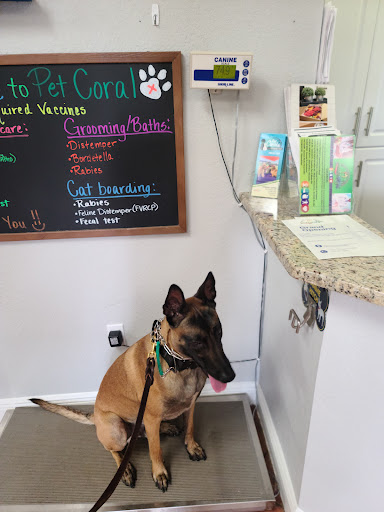 Veterinarian «PetCoral Resort and Veterinary», reviews and photos, 924 Del Prado Blvd, Cape Coral, FL 33990, USA