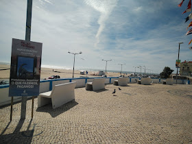 APPACDM Coimbra - Associação Portuguesa de Pais e Amigos Do Cidadão Deficiente Mental de Coimbra