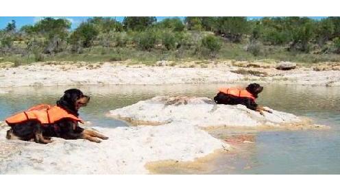 NaNook & NaKoda's Big Paw Rescue