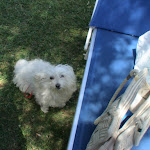 Photo n°8 de l'avis de MarilynLoveYou. fait le 12/07/2017 à 16:03 sur le  Hotel Miralago - Piediluco (TR) à Piediluco