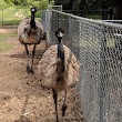 Neepawa Bird Sanctuary