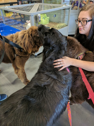 Pet Groomer «We Lov Pets», reviews and photos, 3853 Northpointe Dr, Zanesville, OH 43701, USA