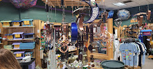 Wild Bird & Garden - Photo 7 - Car repair in Wilmington, NC, Wilmington