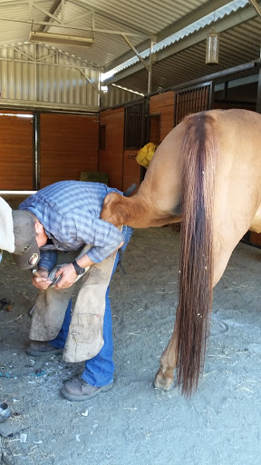 Pet Supply Store «Silva Ranches Feed Store», reviews and photos, 12310 Santa Teresa Blvd, San Martin, CA 95046, USA