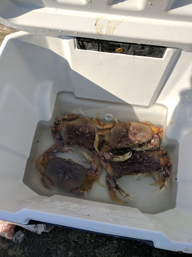 Coffee Shop «Bandon Coffee Cafe», reviews and photos, 365 2nd St SE, Bandon, OR 97411, USA