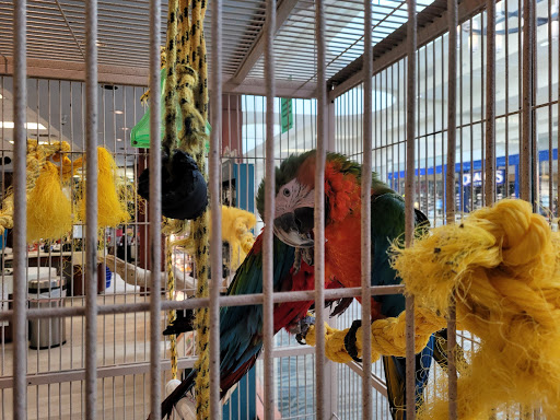 Pet Store «Petland Topeka», reviews and photos, 1801 SW Wanamaker Rd, Topeka, KS 66614, USA