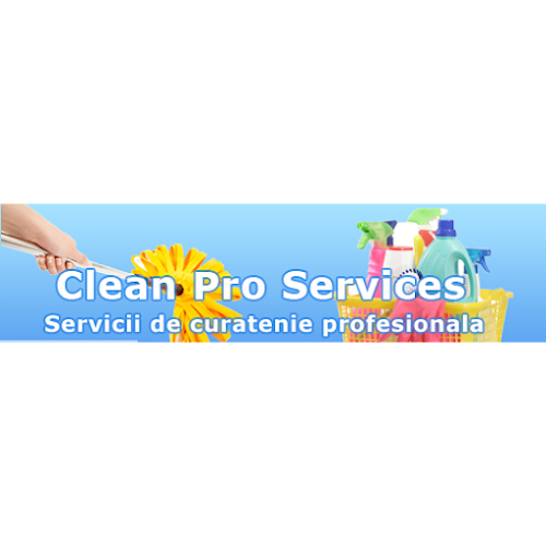 Clean Pro Services - <nil>