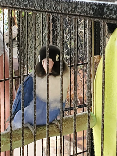 Miniature Golf Course «Golf N Gator», reviews and photos, 6355 N Atlantic Ave, Cape Canaveral, FL 32920, USA