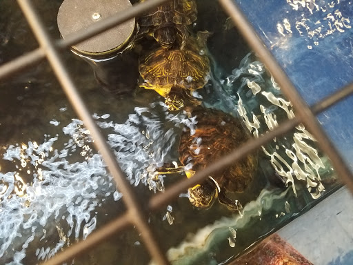 Pet Supply Store «Petco Animal Supplies», reviews and photos, 901 W Indiantown Rd #30, Jupiter, FL 33458, USA