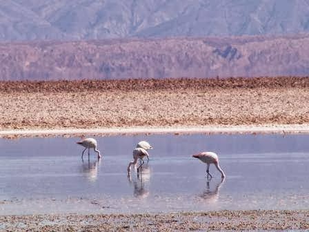 Comentarios y opiniones de Terra Chile