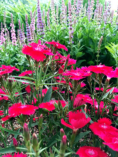 Art Museum «Springfield Art Museum», reviews and photos, 1111 E Brookside Dr, Springfield, MO 65807, USA