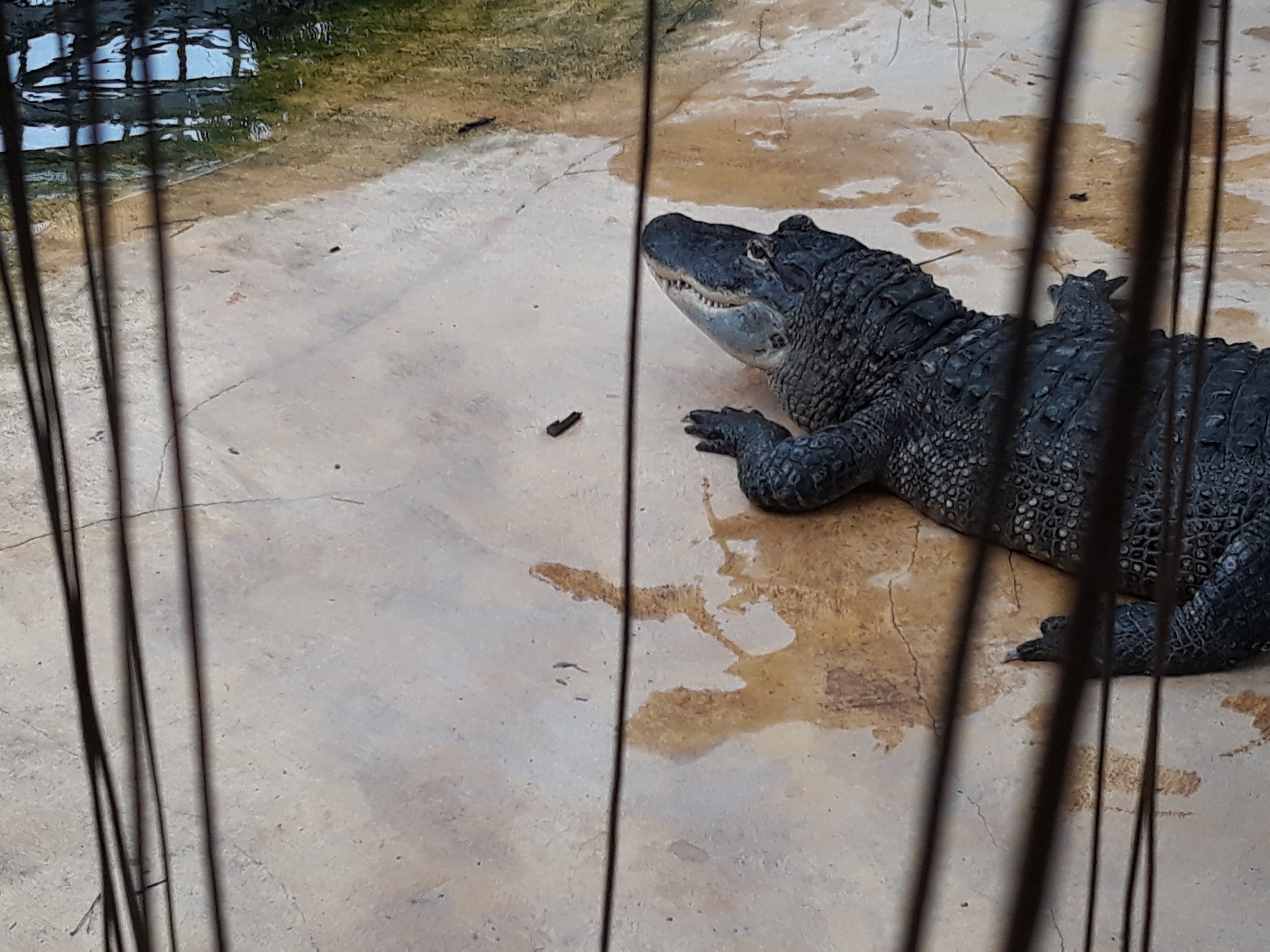 Photo n° 30 de l'avis de Estelle.o fait le 09/08/2018 à 10:25