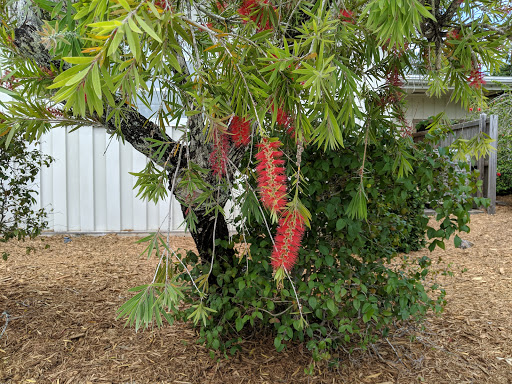 Sports Complex «Historic Dodgertown - Vero Beach», reviews and photos, 3901 26th St, Vero Beach, FL 32960, USA