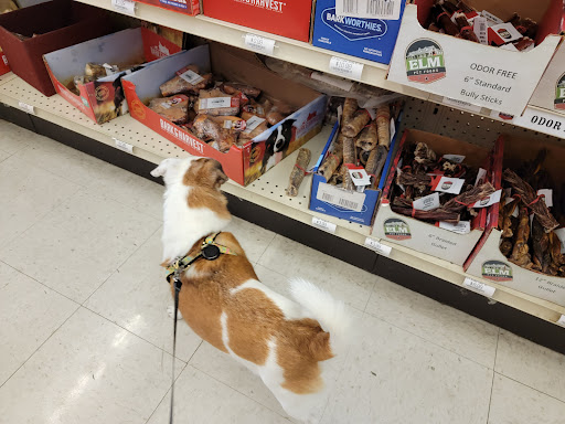 Pet Supply Store «Concord Pet Foods & Supplies», reviews and photos, 19287 Miller Rd, Rehoboth Beach, DE 19971, USA