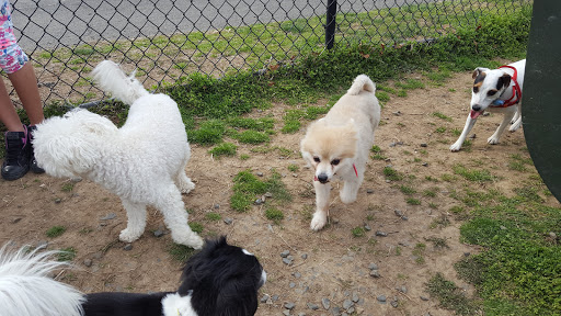 Dog Park «Dog Park», reviews and photos, 9068-9156 Wheatsheaf Rd, Morrisville, PA 19067, USA