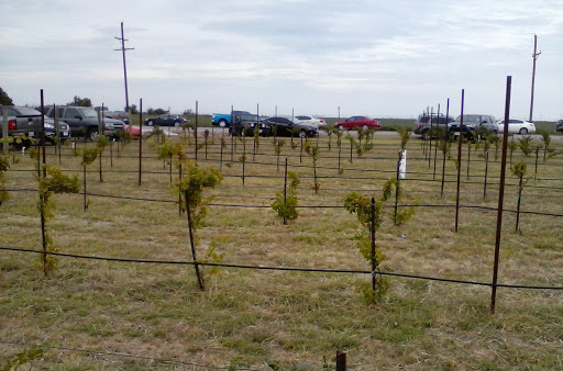 Winery «Llano Estacado Winery», reviews and photos, 3426 FM1585, Lubbock, TX 79404, USA