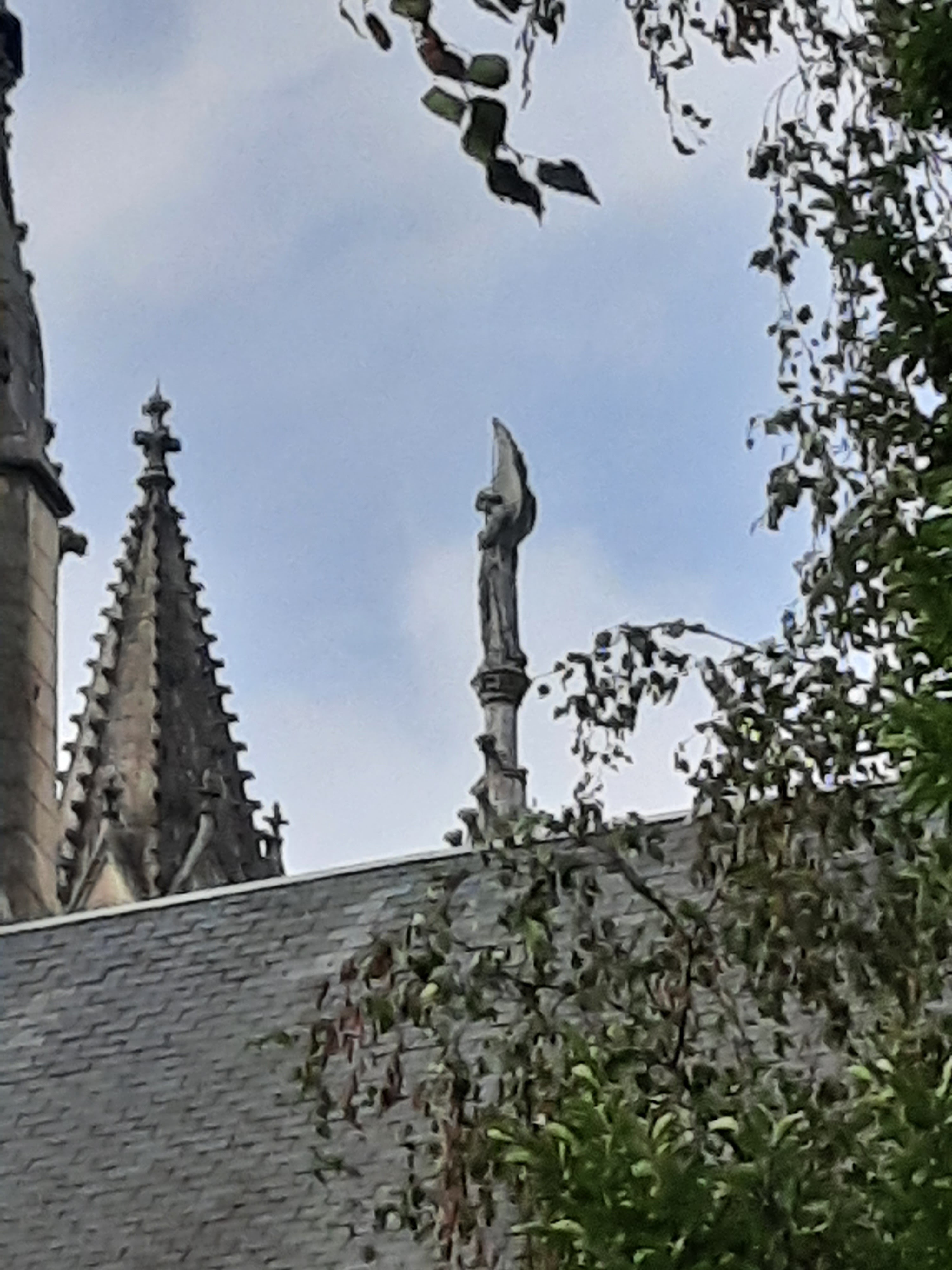 Photo n° 1 de l'avis de Cél. fait le 23/07/2021 à 16:32