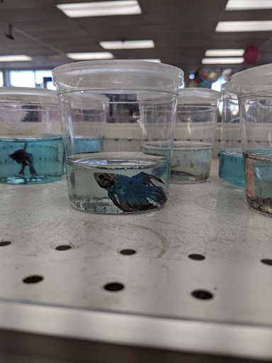 Discount Store «One Stop Bargain (99 cents store)», reviews and photos, 7920 Florence Ave, Downey, CA 90240, USA