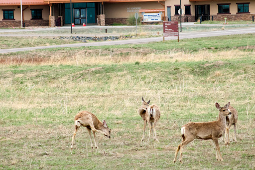 Wildlife Refuge «Rocky Mountain Arsenal National Wildlife Refuge», reviews and photos