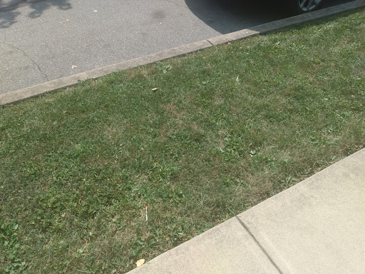 Zoo «Columbian Park Zoo», reviews and photos, 1915 Scott St, Lafayette, IN 47904, USA