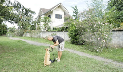 Zoeta Dogsoul - Dog Training Chiang Mai & Bangkok