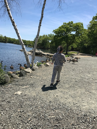 Park «D.W. Field Park», reviews and photos, D W Field Pkwy, Brockton, MA 02301, USA