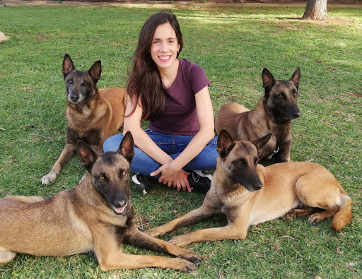 Clases adiestramiento perros Sevilla