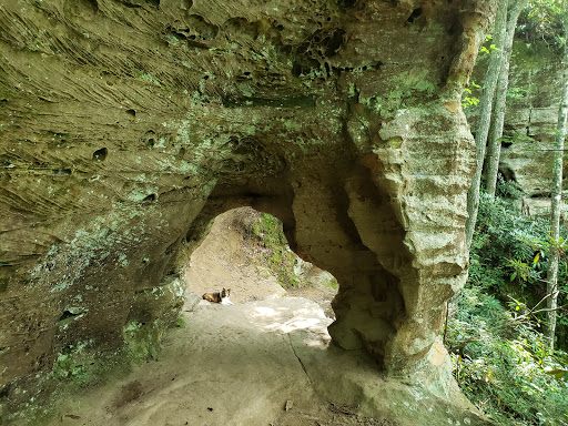 Trail #220 Trailhead