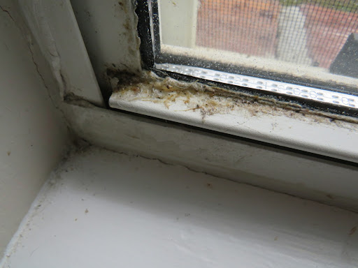 House Cleaning Service «Two Maids & A Mop», reviews and photos, 119 Hollywood Blvd SW #206, Fort Walton Beach, FL 32548, USA