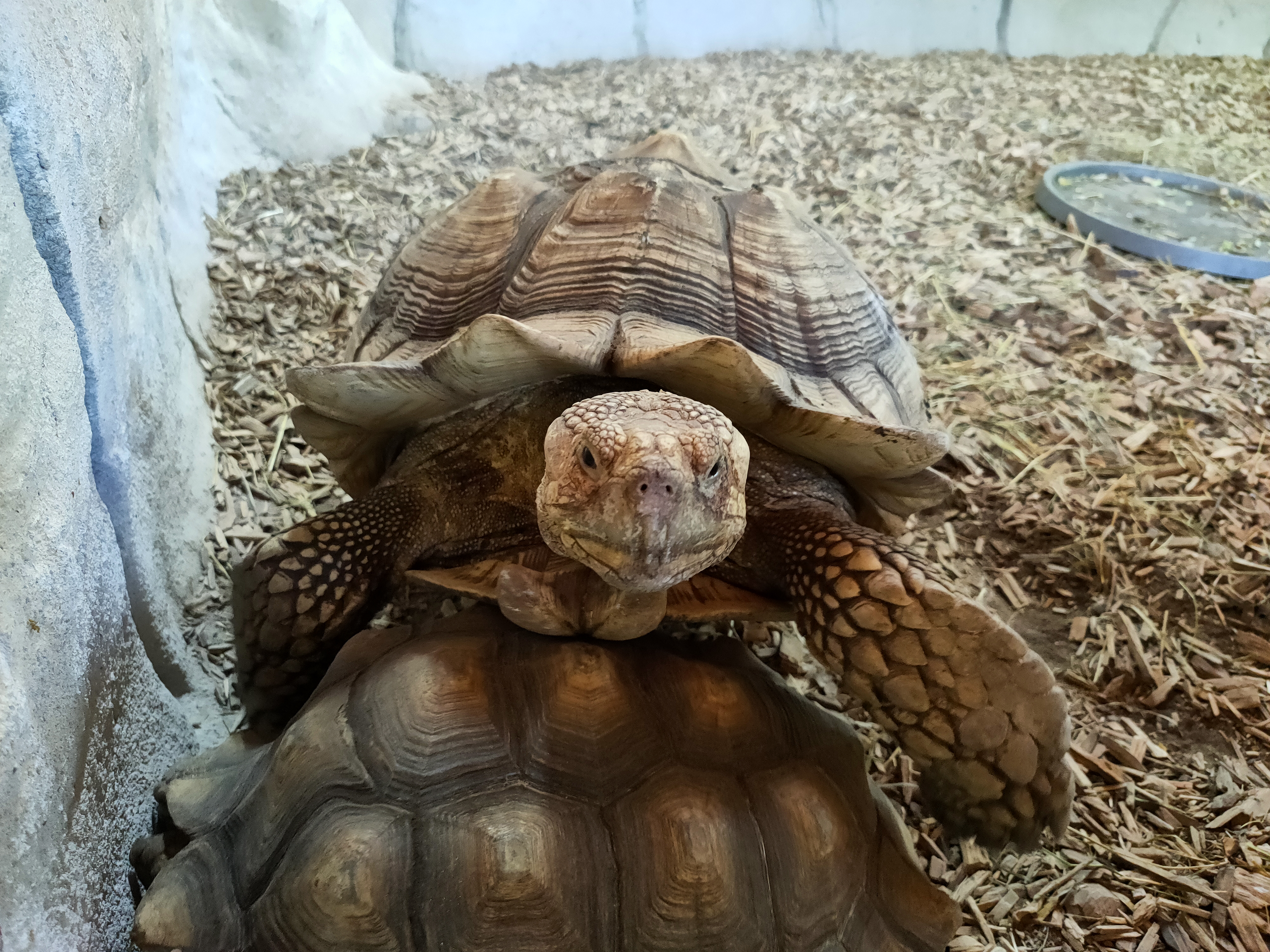 Photo n° 5 de l'avis de geoffroy.e fait le 15/06/2021 à 15:53