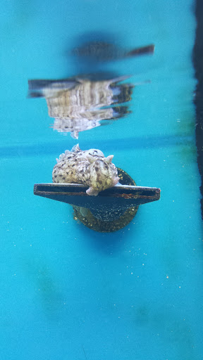 Pet Supply Store «Petco Animal Supplies», reviews and photos, 3577 S Rainbow Blvd, Las Vegas, NV 89103, USA