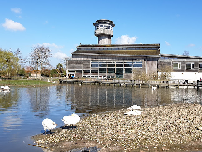 Reviews of WWT Slimbridge in Gloucester - Other