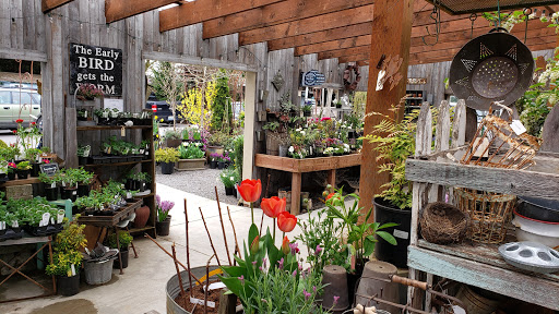 Plant Nursery «Pine Creek Nursery», reviews and photos, 23225 Sofie Rd, Monroe, WA 98272, USA