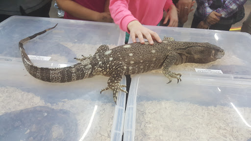 Pet Store «Emerald Bay Fish & Reptile», reviews and photos, 3810 Old Hickory Blvd, Old Hickory, TN 37138, USA