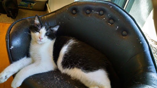 Pet Supply Store «Pet Supplies Plus», reviews and photos, 2057 S Telegraph Rd, Bloomfield Hills, MI 48302, USA