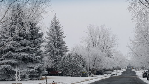 Park «Keller Park», reviews and photos, 14950 Meadowland Blvd, Colorado Springs, CO 80918, USA