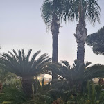 Photo n°45 de l'avis de Michela.i fait le 21/06/2022 à 09:12 sur le  Grand Hotel Le Zagare à Gragnano