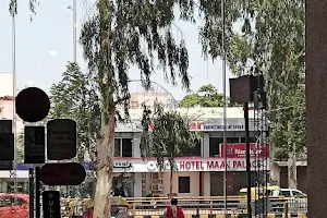 Hotel Maan Palace image