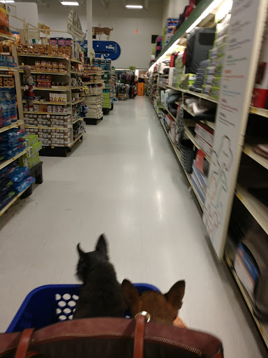 Pet Supply Store «PetSmart», reviews and photos, 4731 Commercial Dr, New Hartford, NY 13413, USA