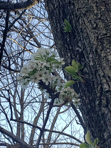 Park «Edison State Park», reviews and photos, 37 Christie St, Edison, NJ 08820, USA